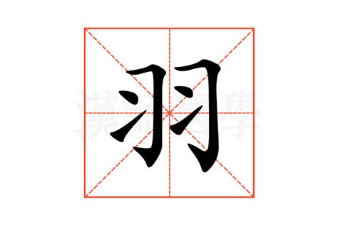 羽字邊的字|部首为“羽部”的字